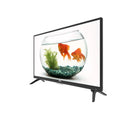 BPL | HD READY LED TV |32 INCH |81.28 CM | 32H-A1000