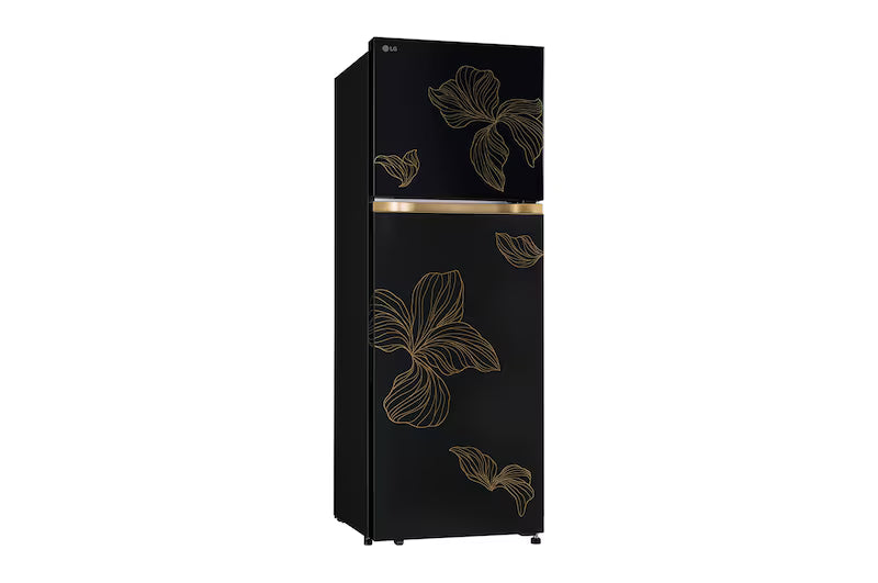 LG | 2 STAR | 246LTR | DOUBLE FRIDGE | SMART INVERTER COMPRESSOR | GL-T2526WWRO RADIANT ONYX