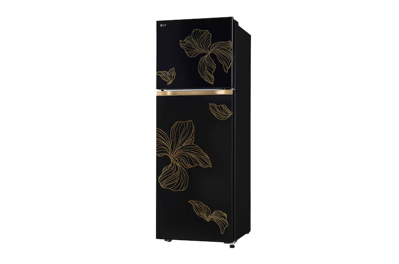 LG | 2 STAR | 246LTR | DOUBLE FRIDGE | SMART INVERTER COMPRESSOR | GL-T2526WWRO RADIANT ONYX