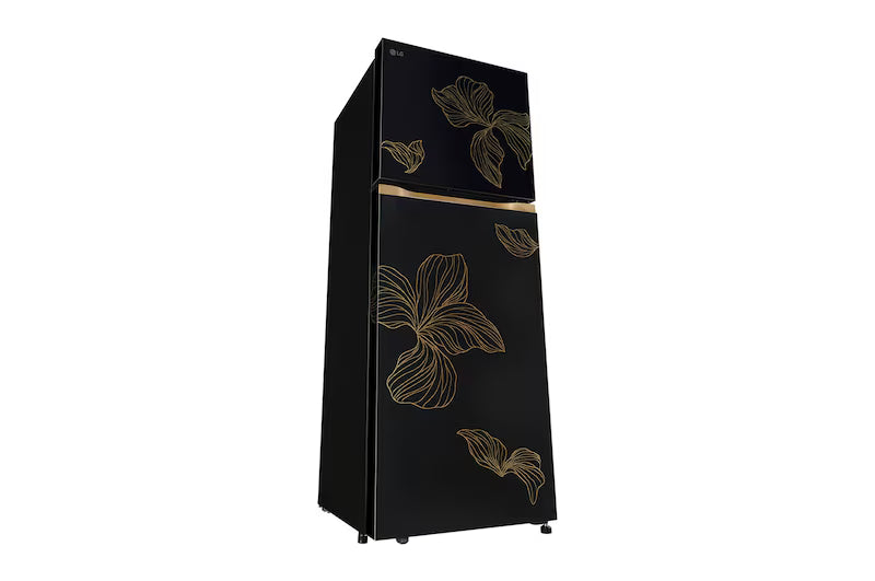 LG | 2 STAR | 246LTR | DOUBLE FRIDGE | SMART INVERTER COMPRESSOR | GL-T2526WWRO RADIANT ONYX