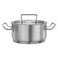 PRESTIGE | COOKWARE |MAGICBASE |SS CASSEROLE |20CM WL