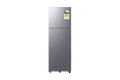 SAMSUNG | 2 STAR | 256 LTR | DOUBLE DOOR | CONVERITABLE FREEZER | RT40H30U2PNL ELEGANT INOX